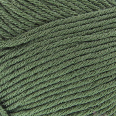 Lammy Yarns Victory 026 mos groen