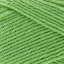 Lammy Yarns Rio 046 groen