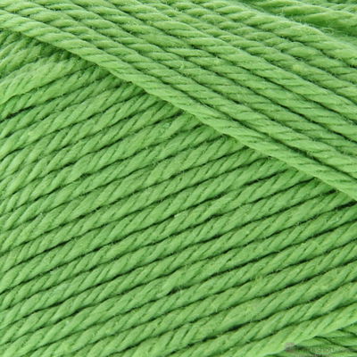 Lammy Yarns Rio 046 groen