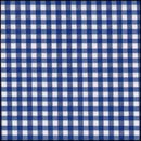 Lint 10 mm ruit blauw - wit (per meter)