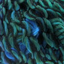 Scheepjes Butterfly 0003 blauw mix