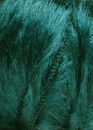 Lang Yarns Soft hair 847.0088 smaragd groen (op=op)