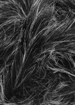 Lang Yarns Soft hair 847.0005 donker grijs op=op 
