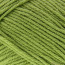 Scheepjes softfun 2531 linde groen