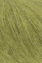 Lang Yarns Mohair luxe 698.0098 helder groen