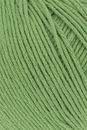 Lang Yarns Baby Cotton 112.0017 appel
