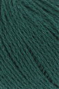 Lang Yarns Cashmere Premium 78.0018 groen