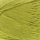Scheepjes Cotton 8 669 linde groen (op=op uit collectie)
