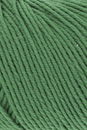 Lang Yarns Merino 150 197.0116 helder groen
