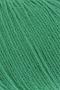 Lang Yarns Merino 200 bebe 71.0317 - groen