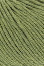 Lang Yarns Merino plus 152.0297 helder groen 