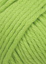 Lang Yarns Omega + 764.0016 lente groen (op=op uit collectie)