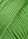 Lang Yarns Presto  911.0016 fel groen  (op=op)