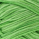 Scheepjes softfun denim 506 groen