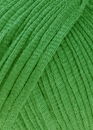 Lang Yarns Gamma 837.0018 groen (op=op)