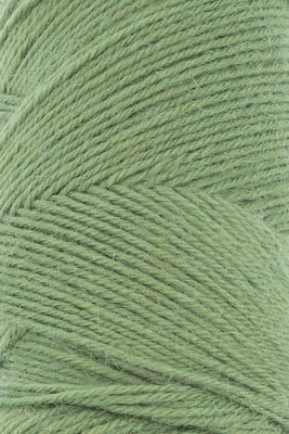 Lang Yarns Jawoll 83.0198 fern