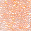 rocailles roc insider 2202 zalm (op=op)