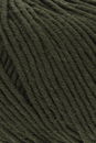 Lang Yarns Merino plus 152.0398 mos groen 
