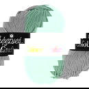 Scheepjes Colour Crafter 1725 Ameland - groen donker mint