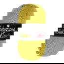 Scheepjes Colour Crafter 1712 Nijmegen -  geel groen