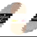 Scheepjes Colour Crafter 1710 Ermelo - zand