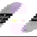 Scheepjes Colour Crafter 1432 Heerlen - paars donker lila