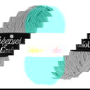 Scheepjes Colour Crafter 1422 Eelde - blauw licht aqua