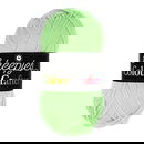 Scheepjes Colour Crafter 1316 Almelo - groen lente