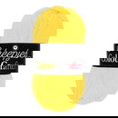 Scheepjes Colour Crafter 1263 Leerdam - zacht geel fel