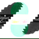 Scheepjes Colour Crafter 1116 Emmen - groen