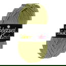 Scheepjes Colour Crafter 1065 Assen - groen linde