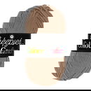 Scheepjes Colour Crafter 1064 Veenendaal - bruin zand