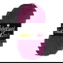 Scheepjes Colour Crafter 1061 Meppel - roze paars