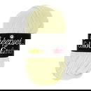 Scheepjes Colour Crafter 1020 Leiden - groen linde