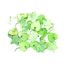 Hangers hart en ster ca 1 cm 88228 groen - schelp (op=op)