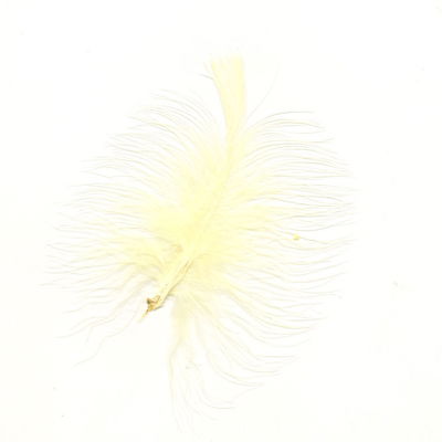 Veer 10 cm ca - zacht geel 10 stuks 