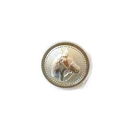 Knoop 24 mm paard - zilver