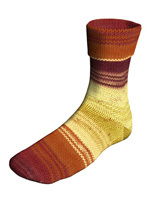 Lang Yarns Super soxx color 8 draads