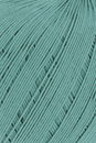 Lang Yarns Marisa 9.0088 groen 