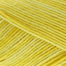 Scheepjes Sunkissed 15 noonday sun