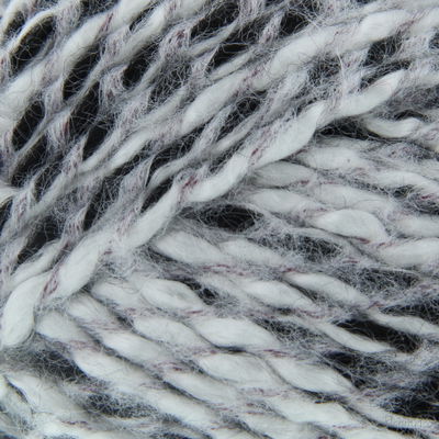 Pingouin Pingo Songe