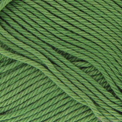 Schachenmayr Catania 412 moss