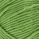 Lammy Yarns Victory 046 linde groen