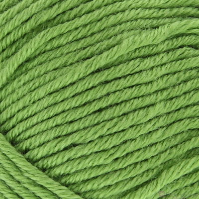 Lammy Yarns Victory 046 linde groen