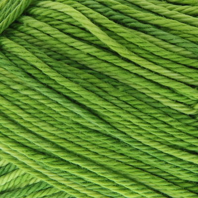 Lammy Yarns Rio multi 627 groen
