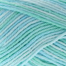 Lammy Yarns Rio multi 628 mint