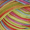 Lammy Yarns Rio multi 634 zuurstok