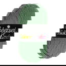 Scheepjes Colour Crafter 1824 Enschede - groen oud