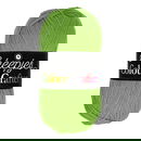 Scheepjes Colour Crafter 2016 Charleroi - groen donker lime