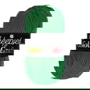 Scheepjes Colour Crafter 1826 Franeker - groen helder *